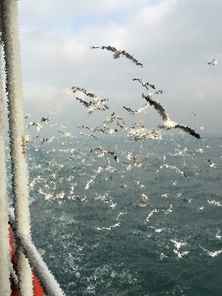 İstanbul’un Dili: Tasarımın İletişimi